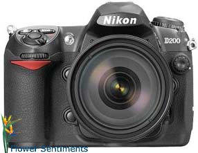 Send Nikon D200 10.2MP Digital SLR Camera with 18-135mm AF-S DX f 3.5-5.6G ED-IF AS-S DX Nikkor Zoom Lens on Digital Cameras to Pakistan