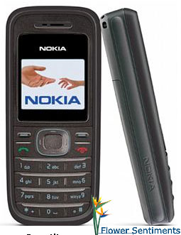 Send Nokia 1208 to Pakistan