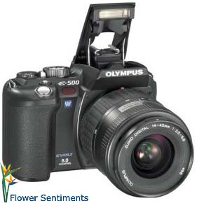 Send Olympus Evolt E500 8MP Digital SLR with Zuiko 14-45mm f 3.5-5.6 Digital SLR Lens on Digital Cameras to Pakistan
