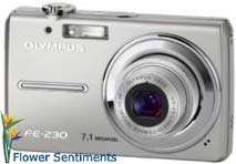 Send  Olympus FE230 - 7.1 Megapixel Digital Camera to Pakistan