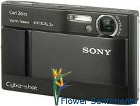 Send Sony Cyber-Shot DSC-T10- 7.2 Megapixel Digital Camera to Pakistan