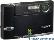 Send  Sony Cyber-Shot DSC-T50 - 7.2 Megapixel Digital Camera Touch Screen on Digital Cameras to Pakistan