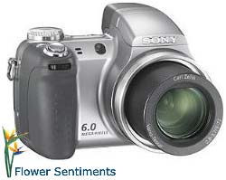 Send Sony Cybershot on Digital Cameras to Pakistan