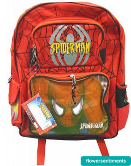 send Spider Man School Bag to pakistan