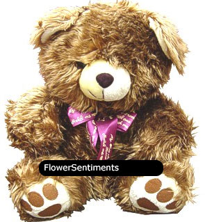 Send browny whit teddy on Stuffed Toys to Pakistan